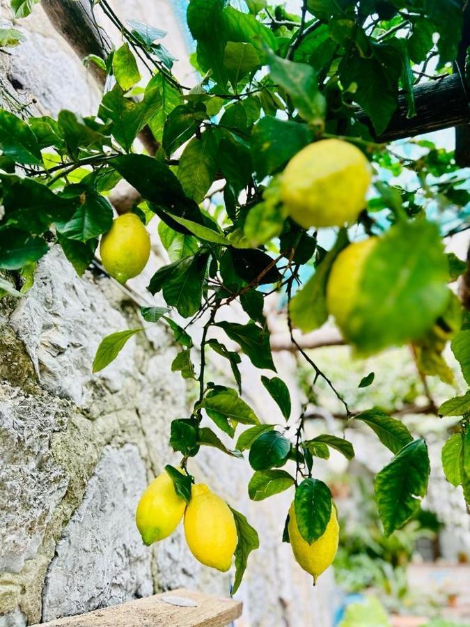 Villa Hermosa Costiera Amalfitana エクステリア 写真